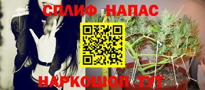 гашик Мариинск